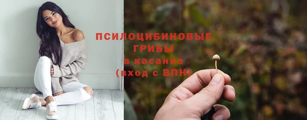 дурь Богородицк