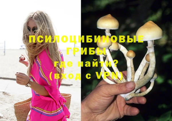 амфетамин Богданович